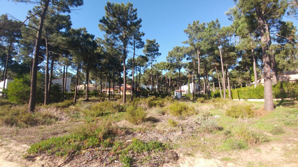 Locatie, locatie, locatie